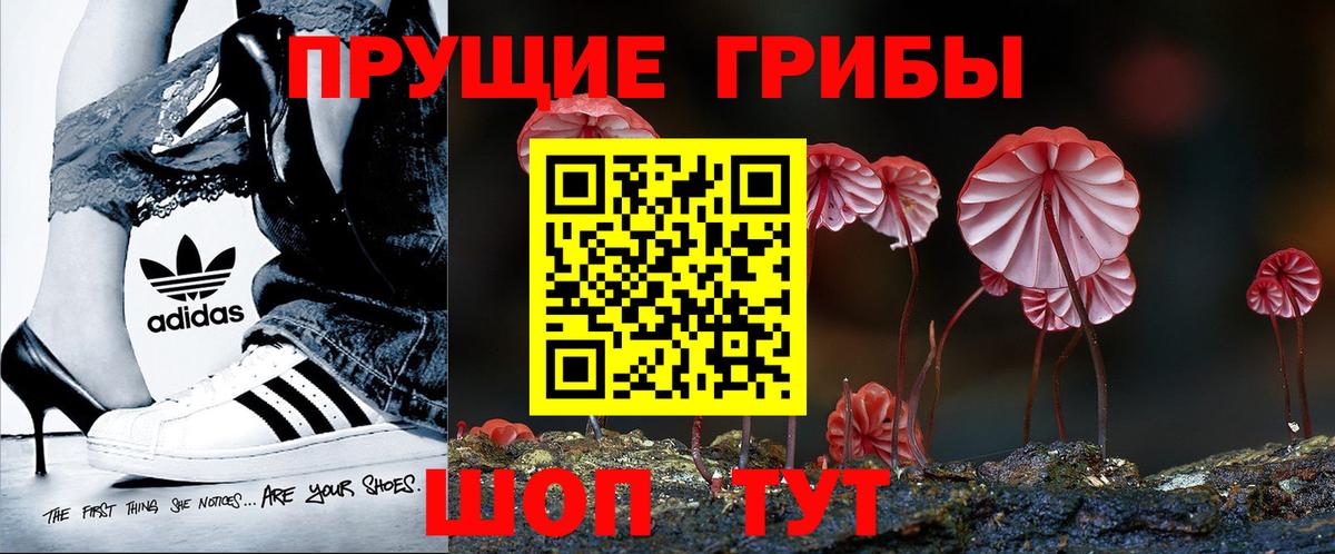 Вятские Поляны  Галлюциногенные грибы ЛСД  Вход с VPN 